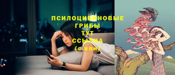 марихуана Абаза