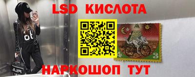 сатива Можга