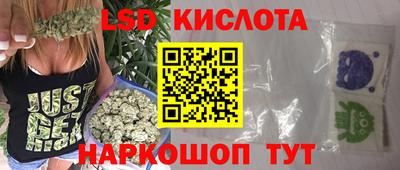 сатива Можга
