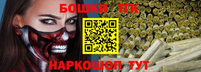 сатива Можга