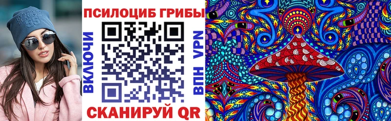 как найти наркотики Дербент Галлюциногенные грибы Psilocybine cubensis