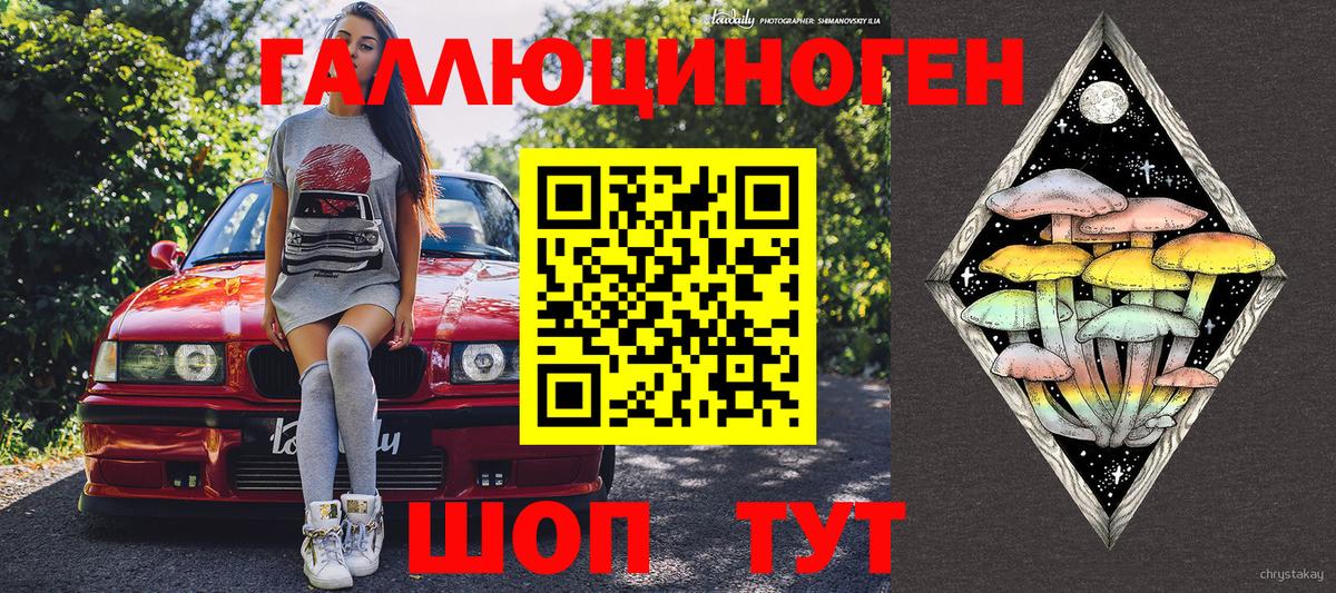 Галлюциногенные грибы Psilocybine cubensis  Вход с VPN  Дербент 